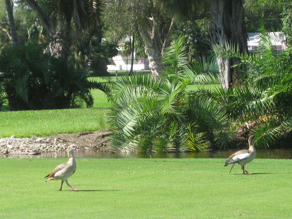 Hollywood Beach Golf Resort Exterior foto